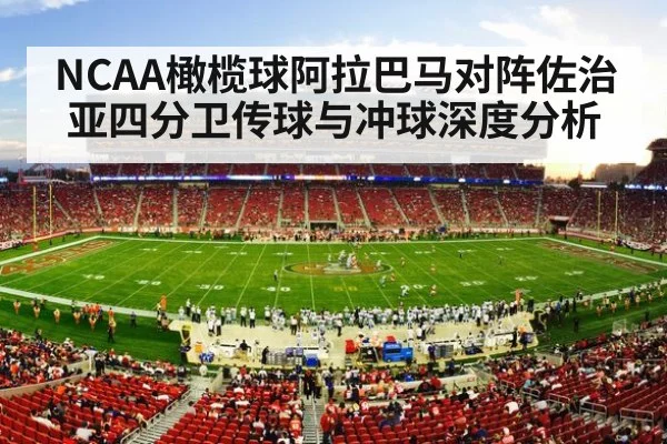 american football stadium crowd